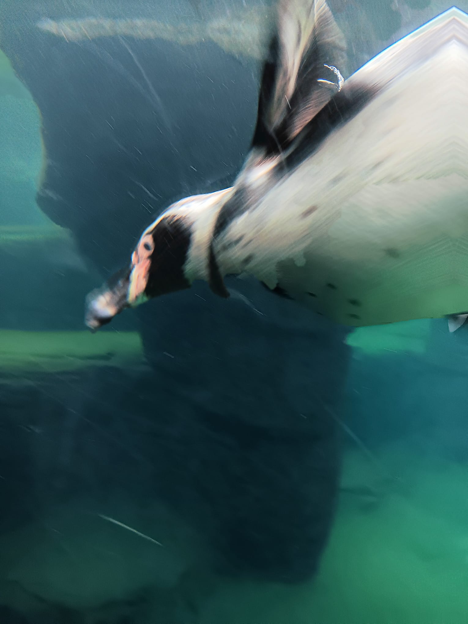 WhatsApp Image 2026 02 02 at 11.12.44